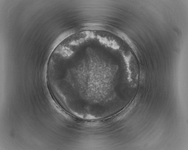 X0000111161386200907281144