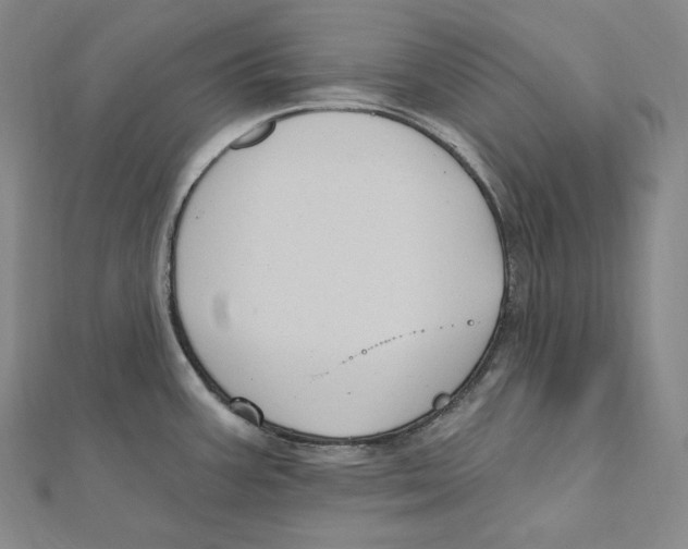 X0000111161387200907281144