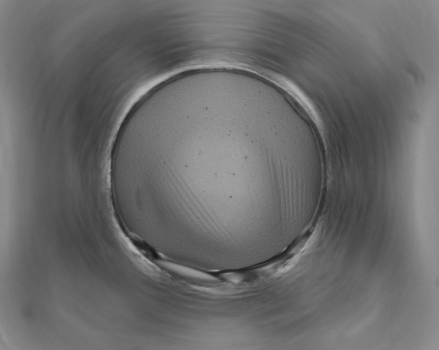 X0000111161388200907281144