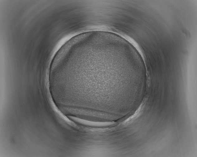 X0000111161389200907281144