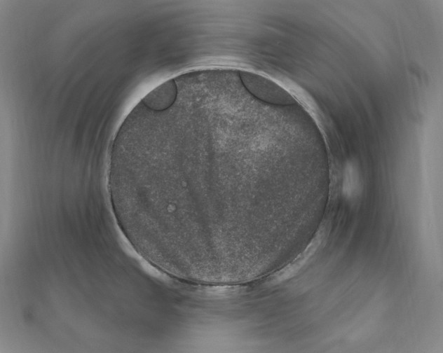 X0000111161390200907281144