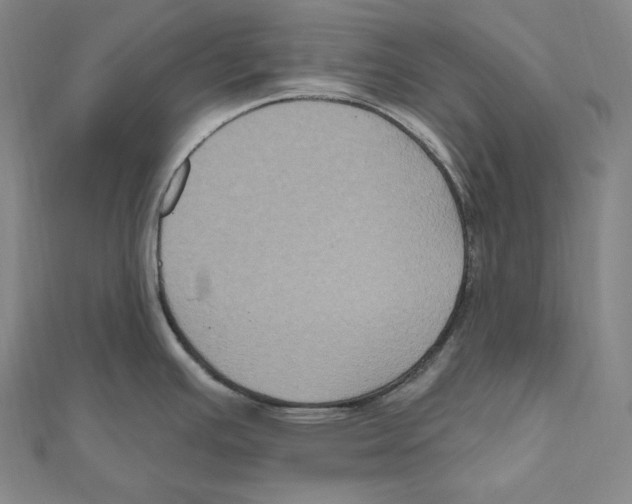 X0000111161391200907281144