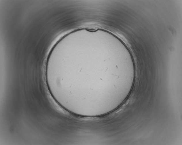 X0000111161392200907281144