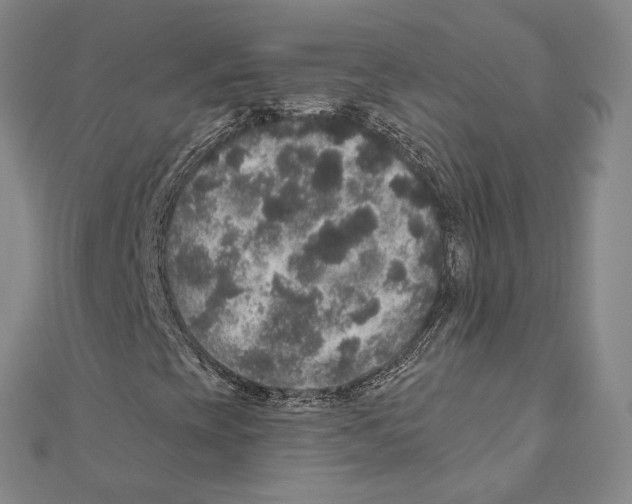 X0000111161393200907281143