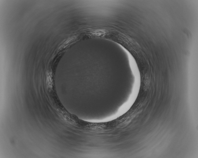 X0000111161394200907281143