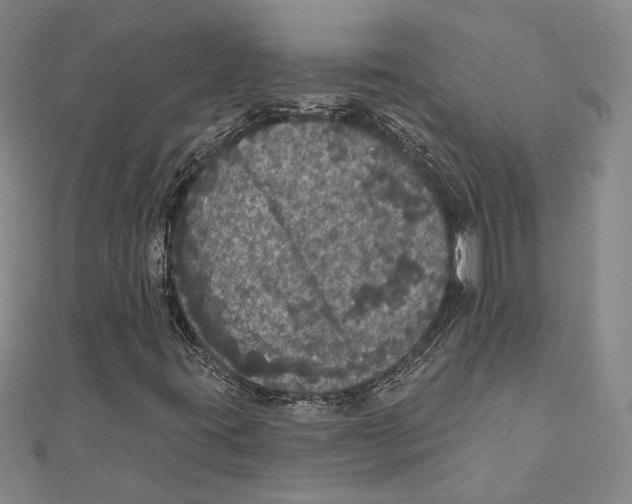 X0000111161395200907281143