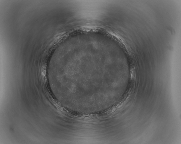 X0000111161396200907281143