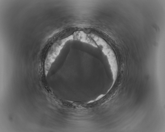 X0000111161398200907281143