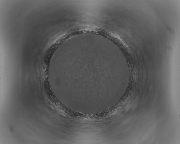 X0000111161399200907281143