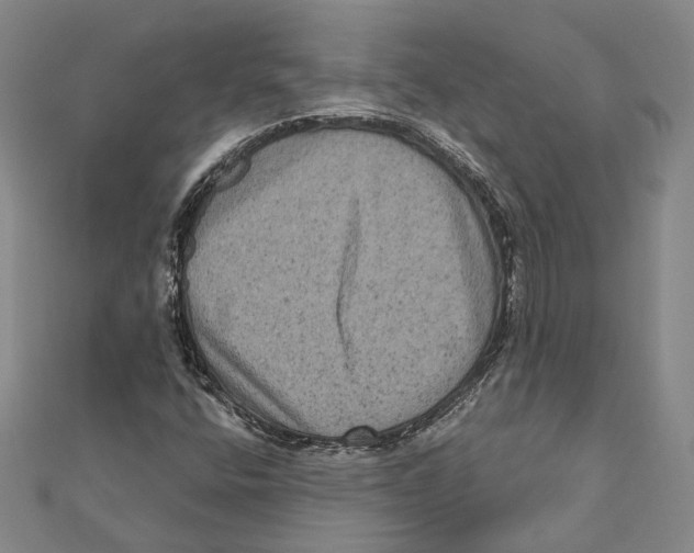 X0000111161400200907281143