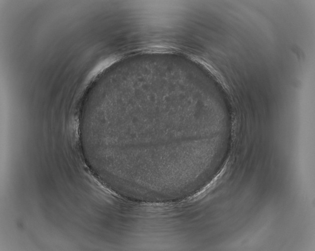 X0000111161402200907281143