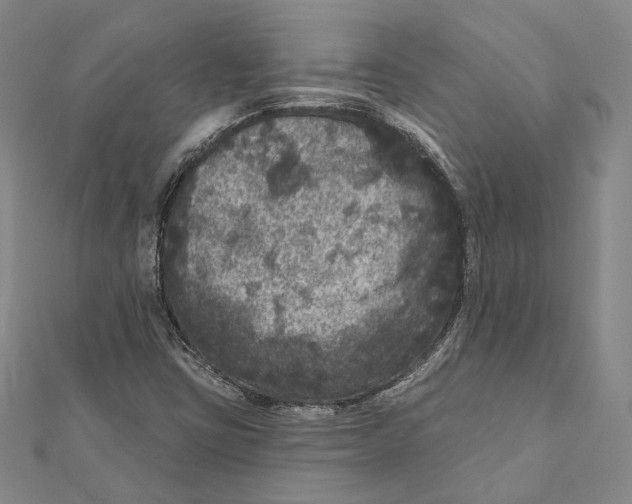 X0000111161403200907281143