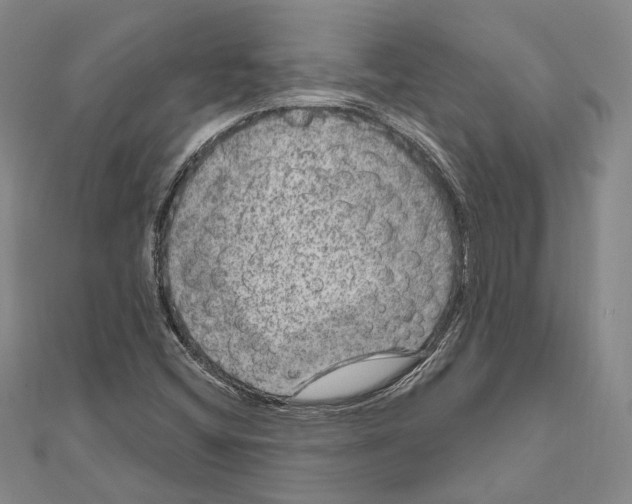 X0000111161404200907281143