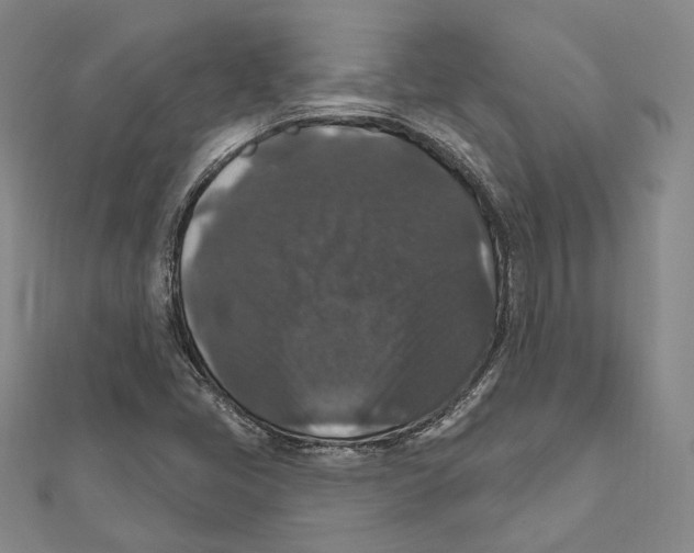 X0000111161405200907281143