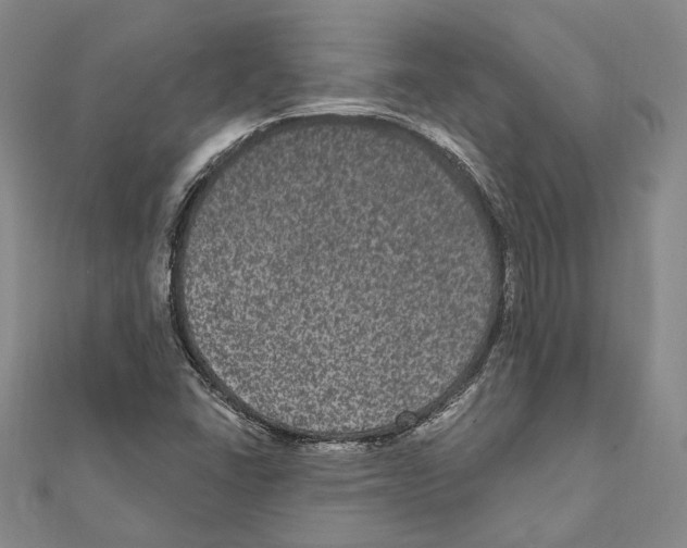 X0000111161406200907281143