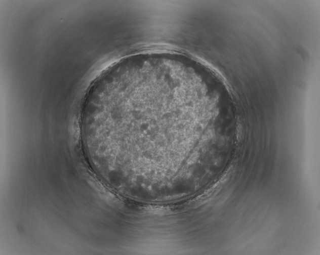 X0000111161407200907281143