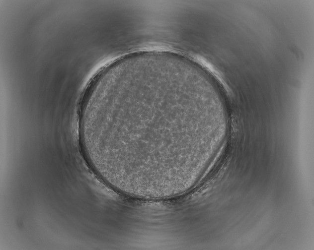 X0000111161408200907281143