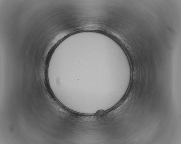 X0000111161410200907281143