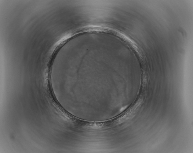 X0000111161411200907281143