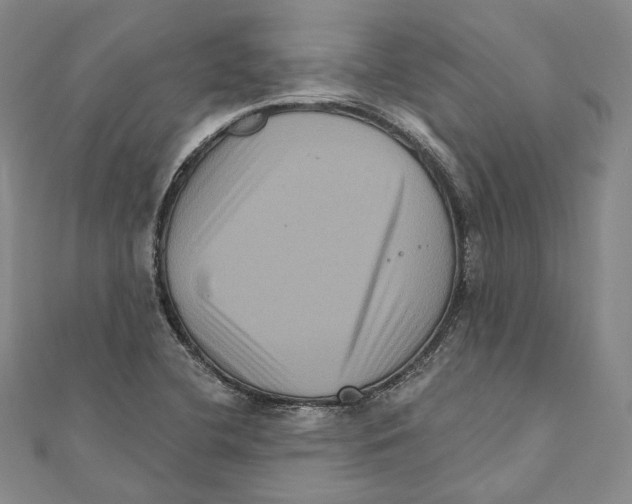 X0000111161412200907281143