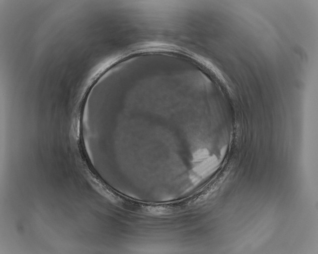 X0000111161413200907281143