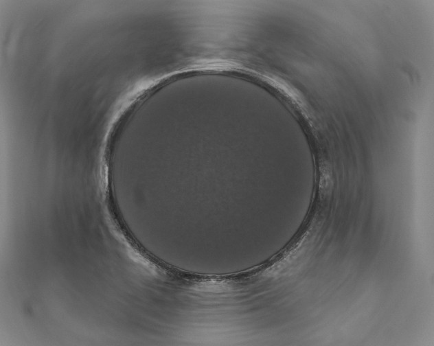 X0000111161414200907281143