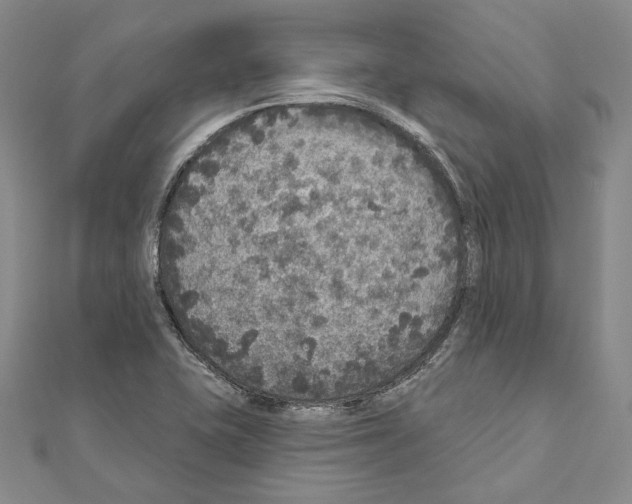 X0000111161415200907281143