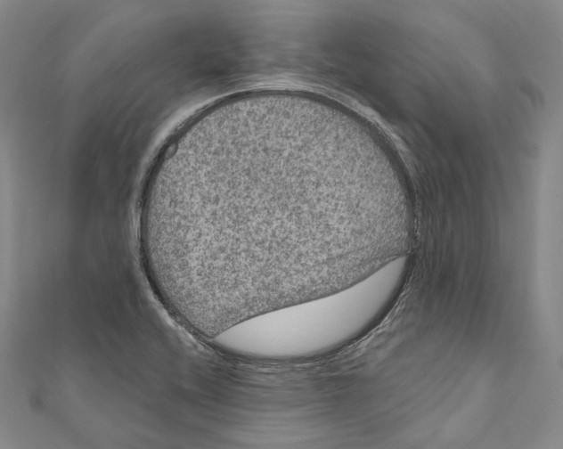 X0000111161416200907281143