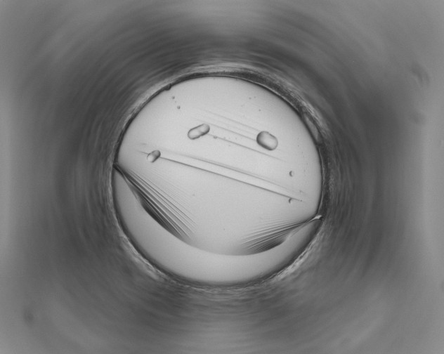 X0000111161417200907281143