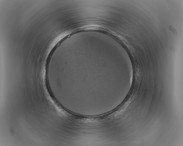 X0000111161418200907281143