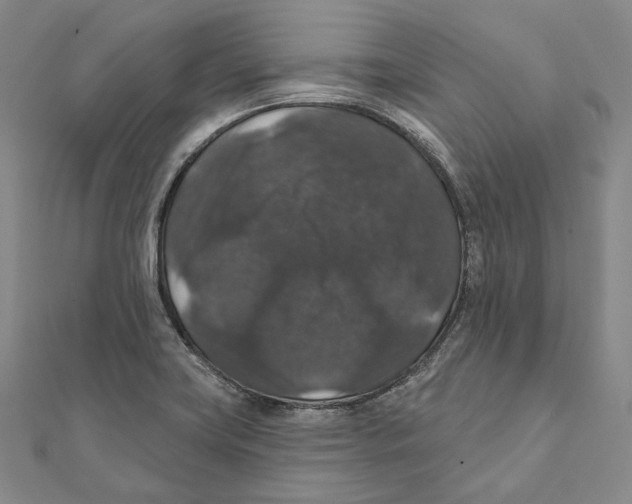 X0000111161419200907281143