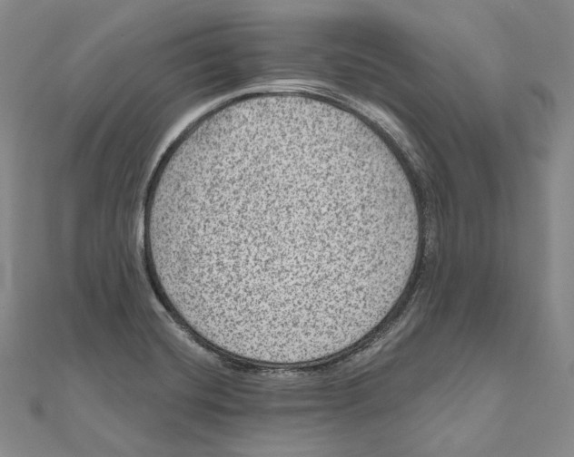 X0000111161420200907281143