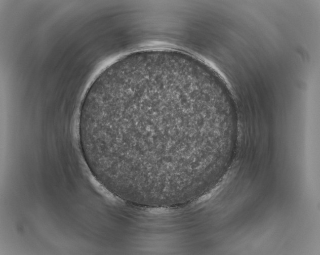 X0000111161421200907281143