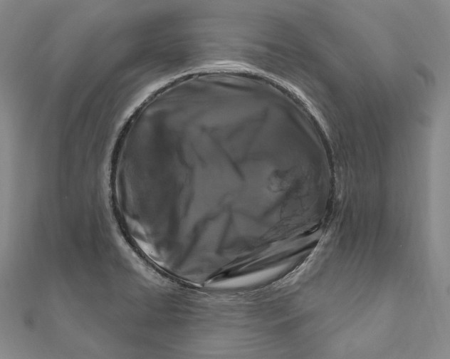 X0000111161422200907281143