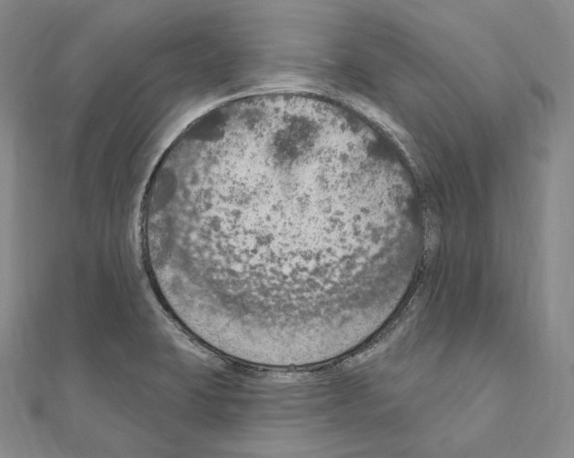 X0000111161423200907281143