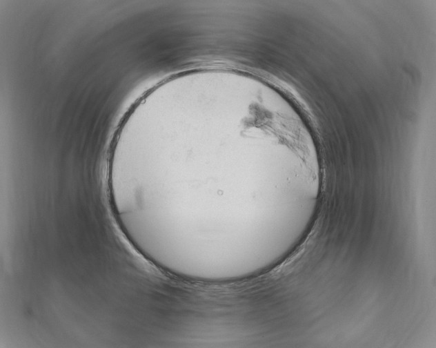 X0000111161424200907281143