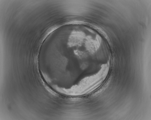 X0000111161425200907281143