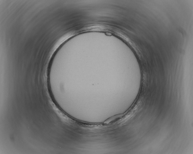 X0000111161426200907281144