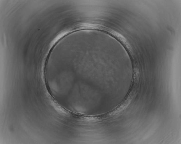 X0000111161427200907281144