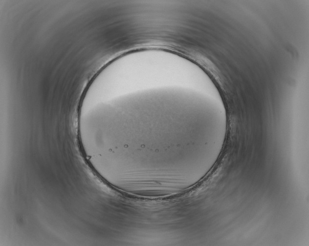 X0000111161428200907281144