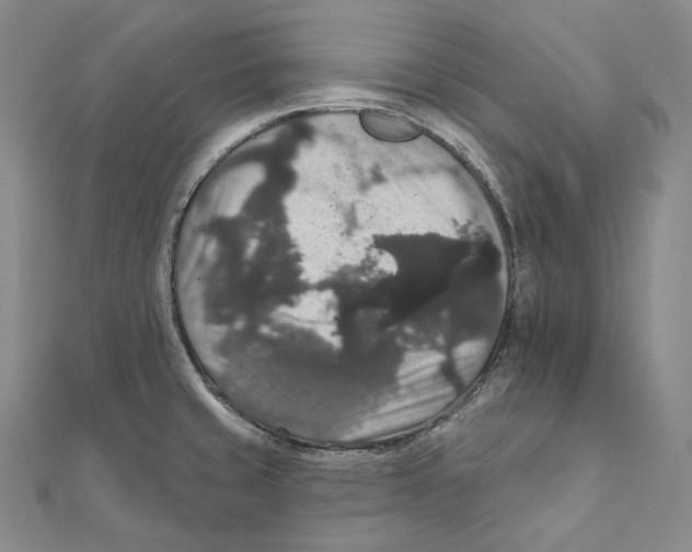 X0000111161429200907281144