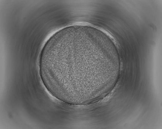 X0000111161430200907281144