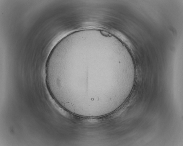 X0000111161431200907281144