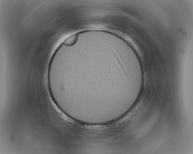 X0000111161432200907281144