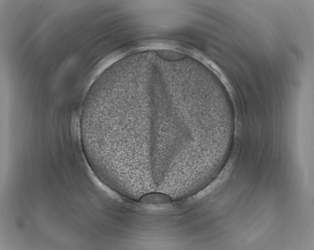 X0000111161433200907281144