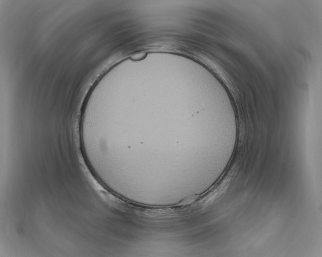 X0000111161434200907281144