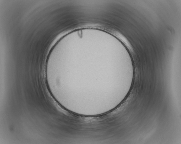 X0000111161436200907281144