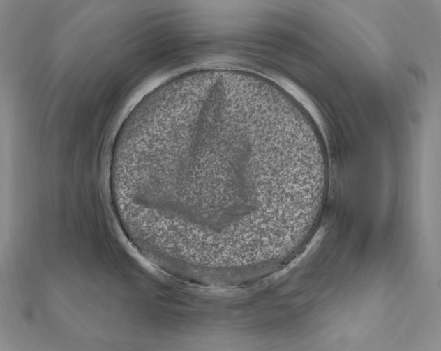 X0000111161437200907281144