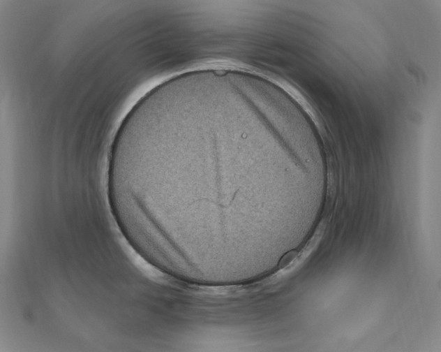 X0000111161438200907281144