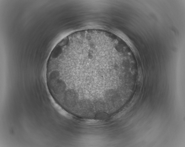 X0000111161439200907281144